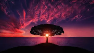 Explore 100+ stunning Full HD nature and landscape wallpapers for desktop - image 22