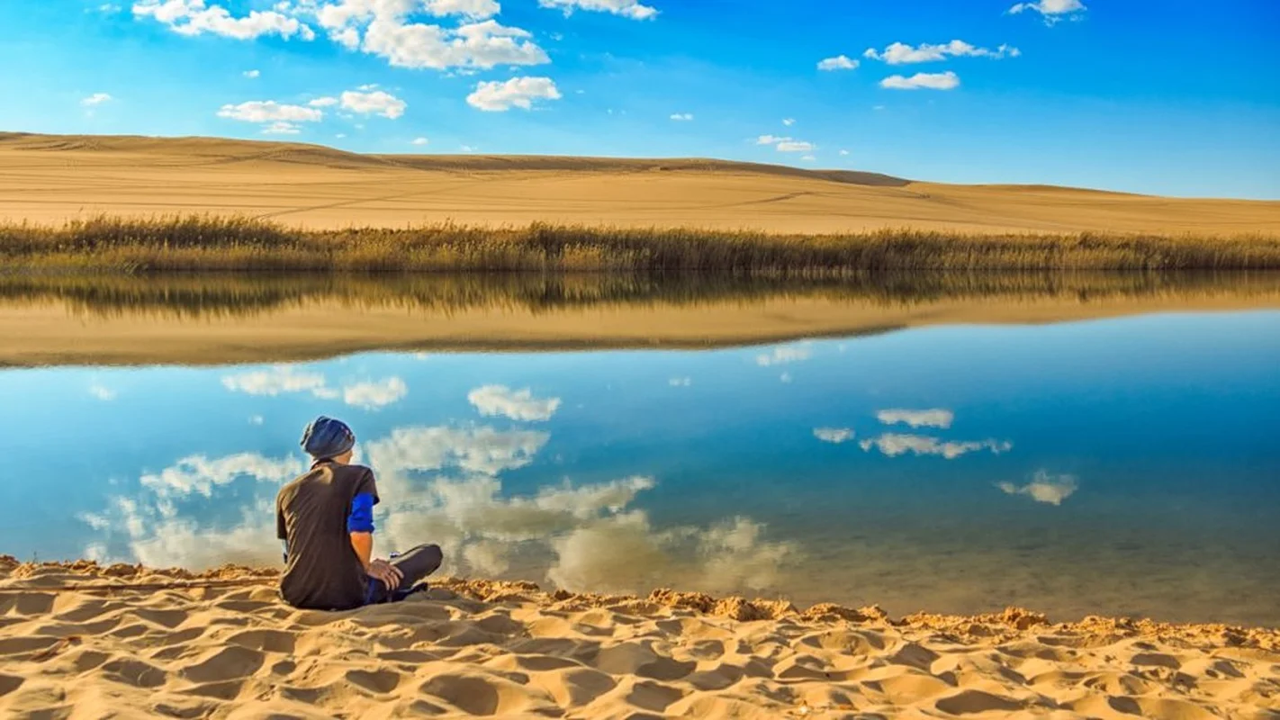 Discover the Breathtaking Green Oases Hidden Within the Sahara Desert