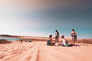 Discover the Breathtaking Green Oases Hidden Within the Sahara Desert - image 2