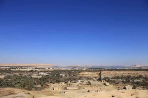 Discover the Breathtaking Green Oases Hidden Within the Sahara Desert - image 4