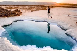 Discover the Breathtaking Green Oases Hidden Within the Sahara Desert - image 1