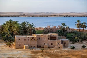 Discover the Breathtaking Green Oases Hidden Within the Sahara Desert - image 3