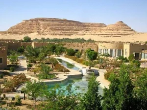 Discover the Breathtaking Green Oases Hidden Within the Sahara Desert - image 6