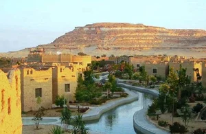 Discover the Breathtaking Green Oases Hidden Within the Sahara Desert - image 9