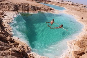 Discover the Breathtaking Green Oases Hidden Within the Sahara Desert - image 7