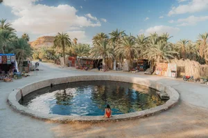 Discover the Breathtaking Green Oases Hidden Within the Sahara Desert - image 5