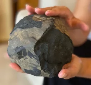 A Treasure from the Sky: One Man's Life-Changing Meteorite Discovery - image 2