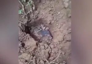 A Treasure from the Sky: One Man's Life-Changing Meteorite Discovery - image 4