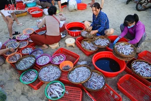 Experiencing the Vibrant Dawn Fish Market: A Must-Try Cultural Adventure for Coastal Travelers - image 19