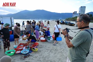 Experiencing the Vibrant Dawn Fish Market: A Must-Try Cultural Adventure for Coastal Travelers - image 3