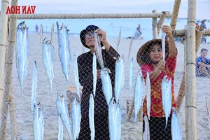 Experiencing the Vibrant Dawn Fish Market: A Must-Try Cultural Adventure for Coastal Travelers - image 0