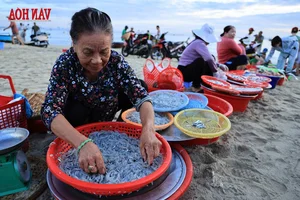 Experiencing the Vibrant Dawn Fish Market: A Must-Try Cultural Adventure for Coastal Travelers - image 15