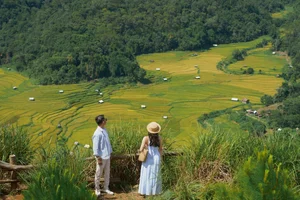 A Photographer's Guide to Kon Tu Rang's Stunning Harvest Landscape - image 8