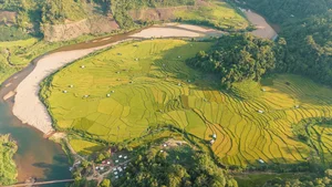 A Photographer's Guide to Kon Tu Rang's Stunning Harvest Landscape - image 3