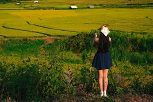 A Photographer's Guide to Kon Tu Rang's Stunning Harvest Landscape - image 1