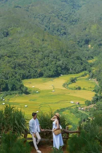 A Photographer's Guide to Kon Tu Rang's Stunning Harvest Landscape - image 7