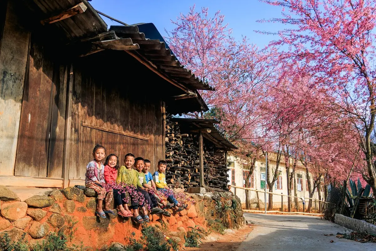 Muong Tip Children's Smiles Amidst Nghe An's Bright Cherry Blossoms