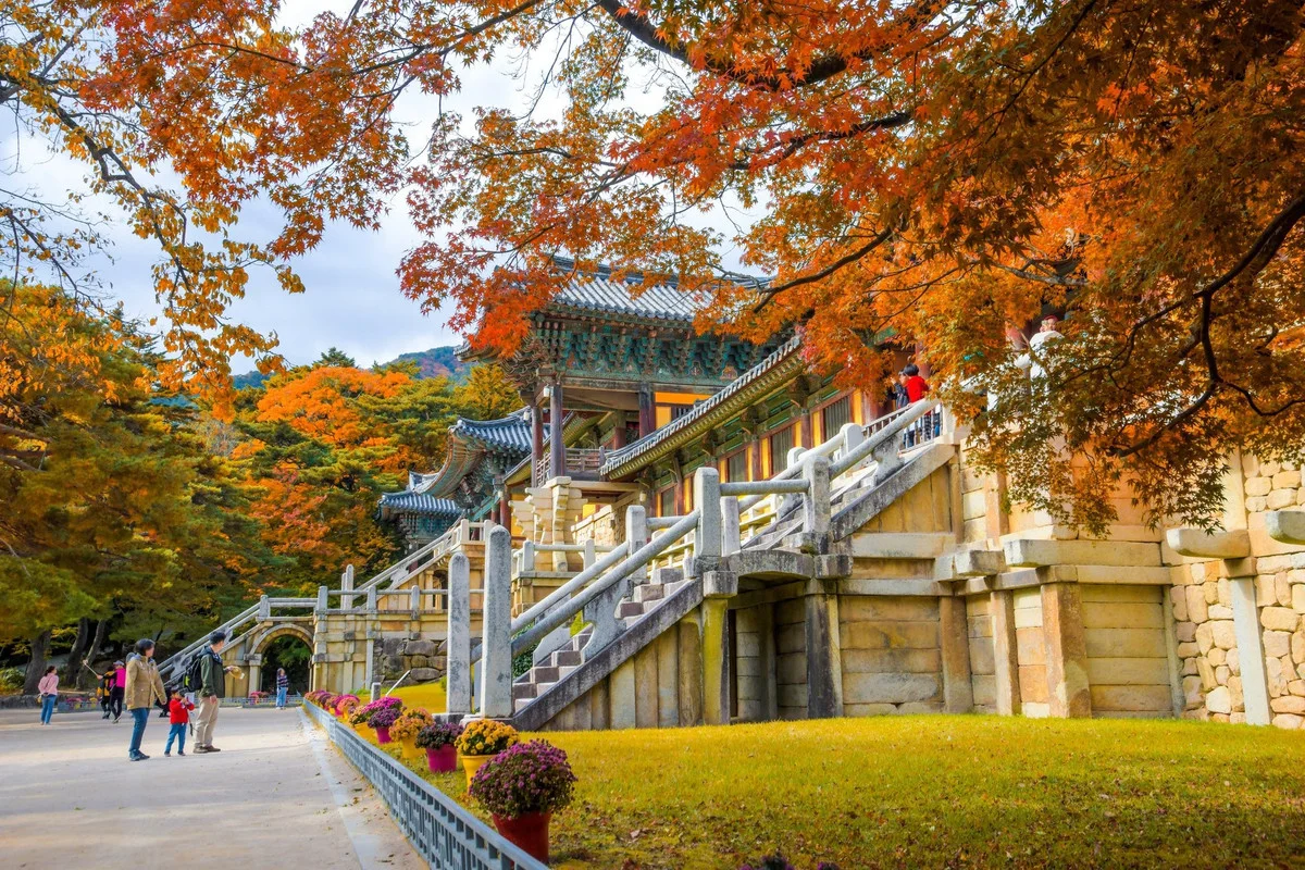 South Korea Considers 10-Year Multi-Entry Visas for Vietnamese Travelers