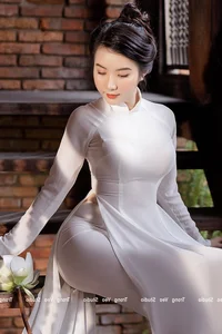 Elegant Portrait Gallery of Nguyen Ha Phuong - image 0