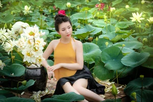 Elegant Portrait Gallery of Nguyen Ha Phuong - image 3