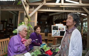 Secrets of the Hunza Valley: The Land of Eternal Youth and Longevity - image 2