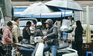 The Famous Fried Banh Chung of Dong Xuan Market: A Winter Must-Eat - image 6