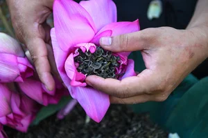 The Ancient Craft of Vietnamese Lotus Tea: A Luxury Tradition in Hanoi - image 5