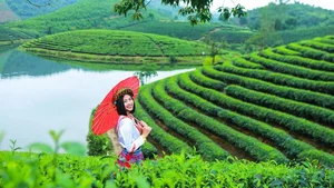 Discover Hidden Travel Gems in Nghe An Province Vietnam - image 1