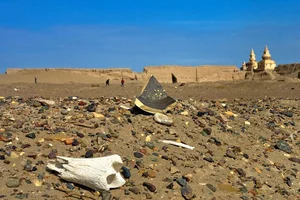 Khara-Khoto: The Enigmatic Ruins of the Silk Road's Black City - image 6