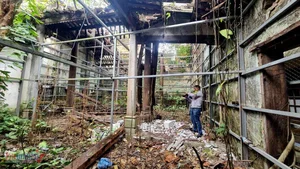 The Tragic Decay of Thanh Hoa's Historic Chinese Merchant Assembly Hall - image 4