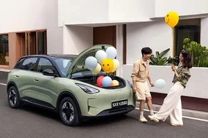 BYD Dolphin: The Ideal Urban Electric Vehicle Under 500M VND - image 7