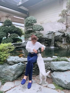 Koi Fish King Thang Ngo Focuses on Fatherhood After Split as Ex-Wife Ha Thanh Xuan Moves On - image 6