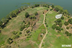 Investigating Violations at Dao O - Dong Truong Tourist Area in Tri An Lake: A Status Update - image 9