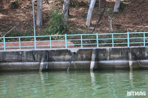 Investigating Violations at Dao O - Dong Truong Tourist Area in Tri An Lake: A Status Update - image 4
