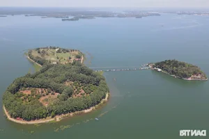 Investigating Violations at Dao O - Dong Truong Tourist Area in Tri An Lake: A Status Update - image 2