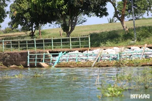 Investigating Violations at Dao O - Dong Truong Tourist Area in Tri An Lake: A Status Update - image 6