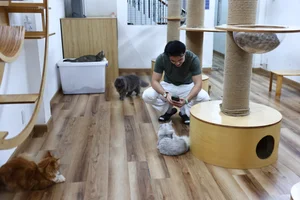 The Capybara Cafe Trend Hits Ho Chi Minh City: A Unique Experience for Animal Lovers - image 6