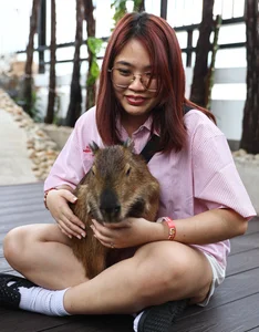 The Capybara Cafe Trend Hits Ho Chi Minh City: A Unique Experience for Animal Lovers - image 10