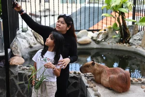 The Capybara Cafe Trend Hits Ho Chi Minh City: A Unique Experience for Animal Lovers - image 8