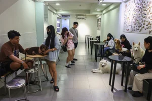 The Capybara Cafe Trend Hits Ho Chi Minh City: A Unique Experience for Animal Lovers - image 2