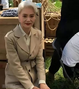 Inside Leanne Liu’s Solitary Life: The 66-Year-Old Actress Living Alone in a Shanghai Luxury Villa 15 Years After Her Husband’s Passing - image 14
