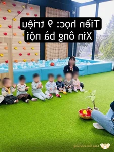 Budget Parenting: How a Couple Earning $200 Monthly Successfully Raises a Child with Premium Imported Formula - image 1