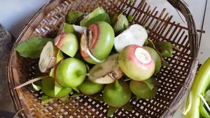 From Wild Weed to Delicacy: The Rise of Vietnam's 100k/kg 'Poor Man's Fruit' - image 6