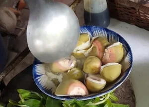From Wild Weed to Delicacy: The Rise of Vietnam's 100k/kg 'Poor Man's Fruit' - image 10