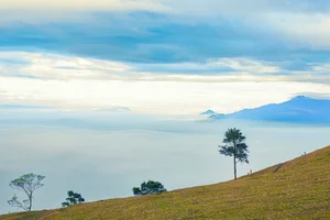 Discover the Lush Green Steppes of Thanh Hoa: A Perfect Trekking Destination in Vietnam - image 4