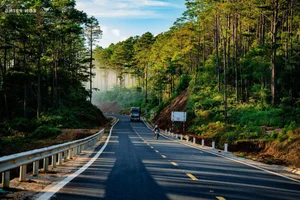 Record-Breaking Tourism Statistics: Analyzing the Massive 7-Day Holiday Travel Surge and Its Economic Impact - image 6