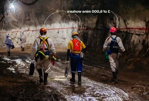 Inside the Depths: A Visual Journey Through Massive Underground Gold Mining Operations - image 6