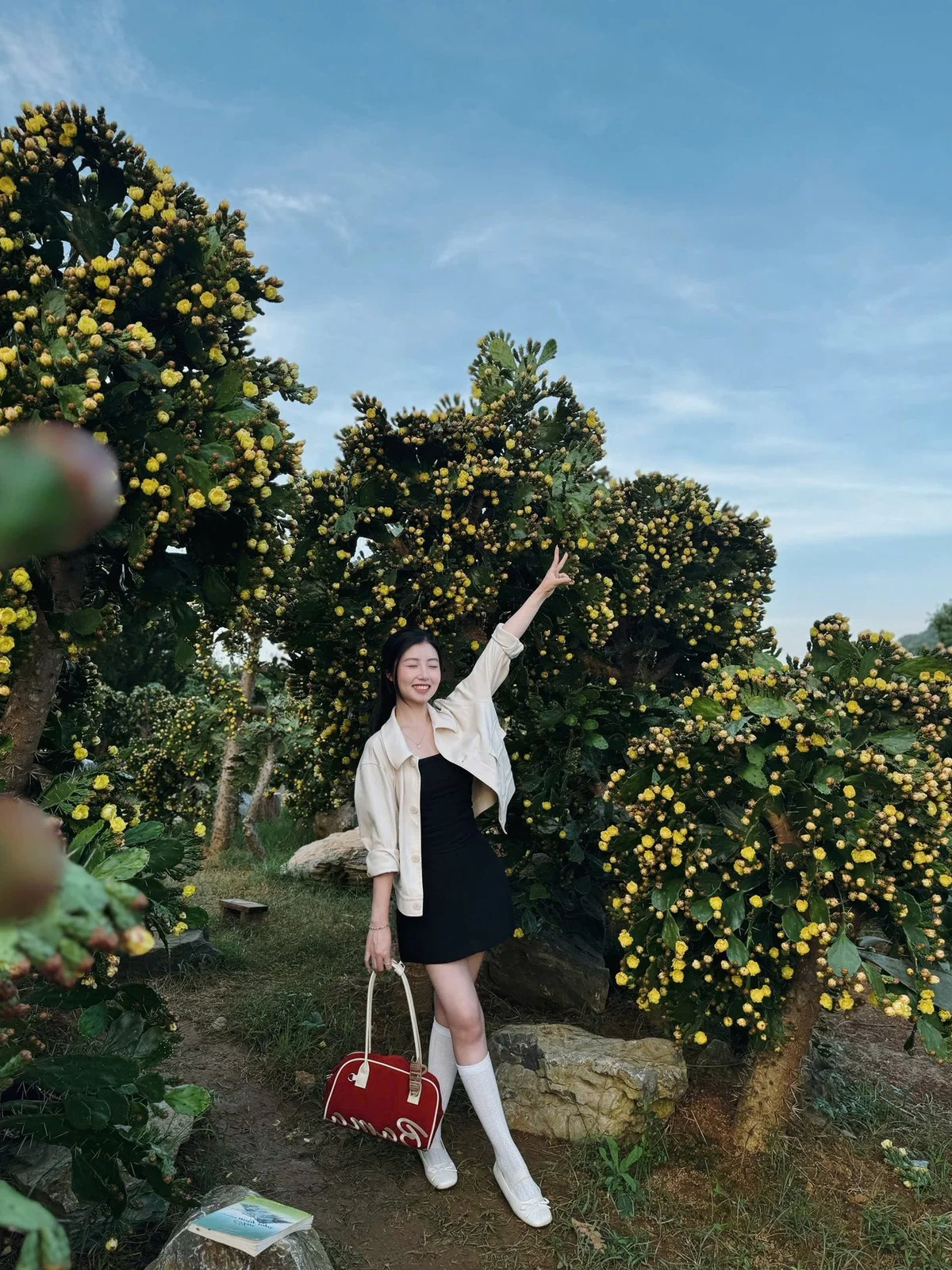 Check-in: The Picture-Perfect Ancient Cactus Garden in Moc Chau