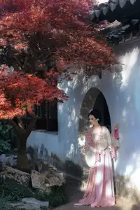 Mao Mao Mao A Yi Vol.8669: Elegant Traditional Beauty, YiTuYu Art - image 15