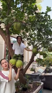 Việt Hương’s Viral Moment: A Strange Expression at Her 300 Billion VND Villa - image 4